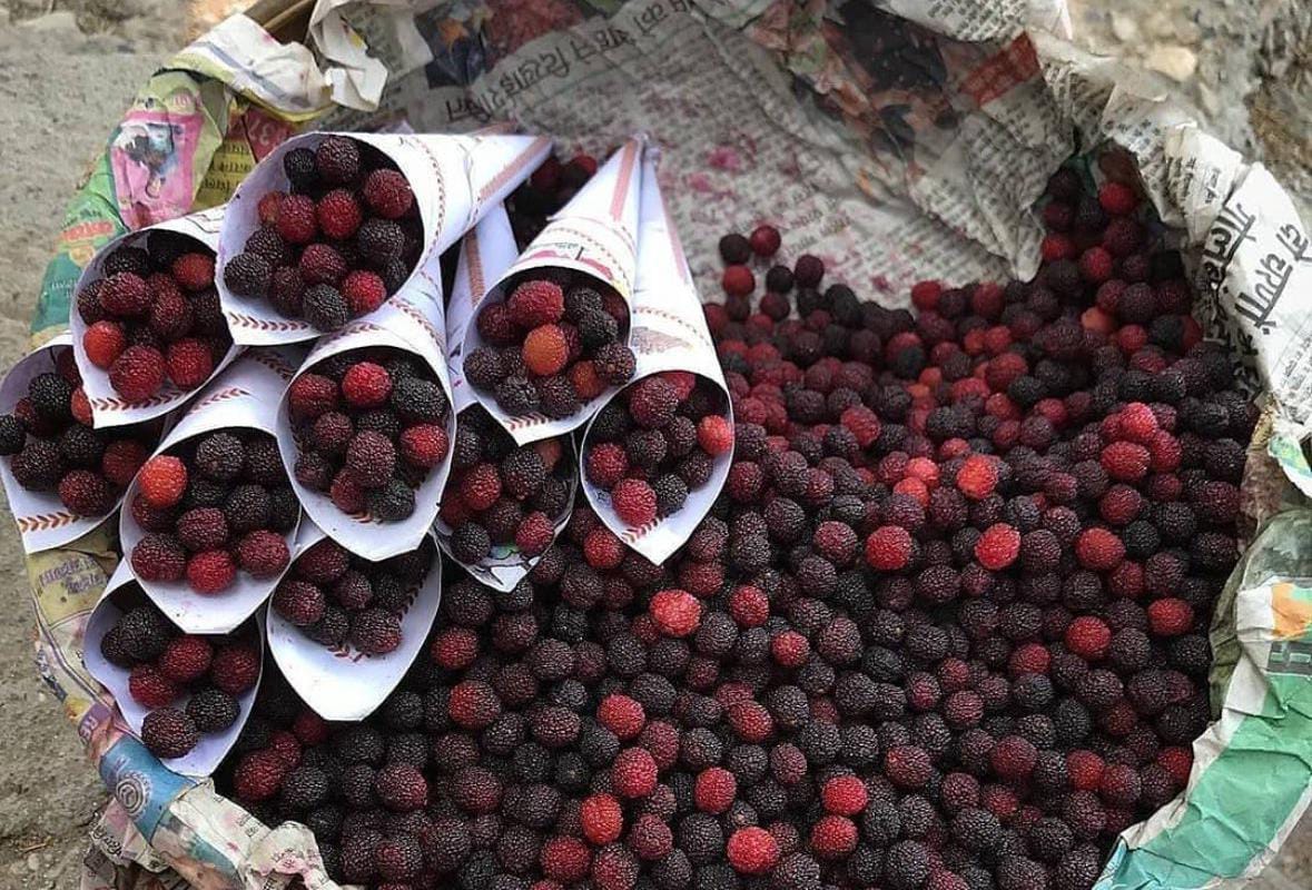 काफल के बढ़ते दाम: क्या बचपन की यादें भी महंगी हो गईं?